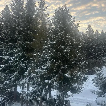 Dom Pod Lasem Holiday home