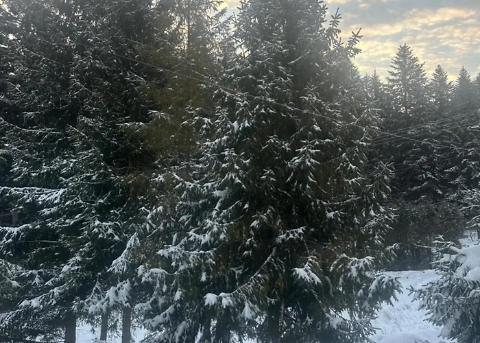 Dom Pod Lasem بيت للعطل